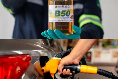 Biodiesel B50 Resmi Berlaku, Ini Perbedaannya dengan Solar Biasa dan Dampaknya bagi Kendaraan Diesel!