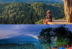 Gunung Ciwaru, Eksplorasi Wisata Alam yang Memikat di Negeri Papua!