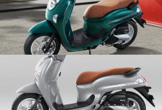 5 Warna Terbaru Honda Scoopy 2026, Desain Stylish dan Cantik yang Jadi Idola Gen Z Masa Kini