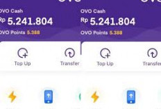 4 Game Penghasil Saldo OVO yang Menarik untuk Dimainkan