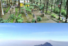 Nikmati Sejuknya Salatiga di 7 Spot Wisata yang Instagramable dan Menyenangkan