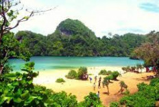 Pulau Sempu :Cagar Alam Yang Hanya Boleh Dikunjungi Untuk Pendidikan Dan Penelitian Inilah Alasannya!