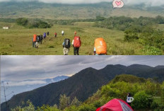 Gunung-Gunung di Jawa Barat yang Cocok untuk Pendaki Pemula, Simak Rekomendasinya!