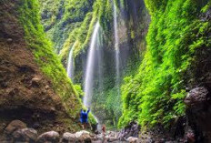 Membuka Tabir Misteri Air Terjun Madakaripura, Berikut Penjelasanya!