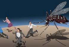 Kasus DBD di Sumsel Capai Ribuan