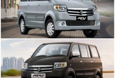 Mulai Rp 185 Jutaan! Cek Harga Suzuki APV Baru Juni 2026, Minivan Tangguh Andalan Keluarga dan Pengusaha