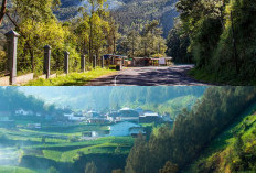 Menikmati Liburan di Lereng Gunung Lawu, Aktivitas Seru dan Pemandangan Menawan!