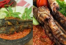 Mencicipi Kelezatan Pecel Lele Lamongan Yang Bikin Nagih Terus!