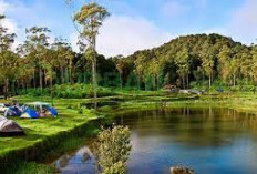 Kampung Cai Ranca Upas: Tempat Bumi Perkemahan Di Bandung Jawa Barat