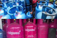 Harga Elpiji Nonsubsidi Melonjak, Warga dan UMKM Tercekik Biaya Energi