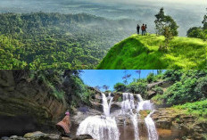 Mengagumkan! Keindahan dan Keasrian Air Terjun Pletuk di Kabupaten Ponorogo yang Menakjubkan!