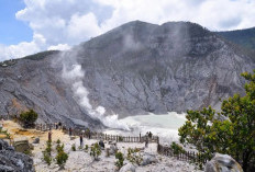 Eksplorasi Gunung Tangkuban Perahu: Menikmati Keindahan Kawah dan Aktivitas Seru