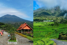 Gunung-Gunung Menakjubkan di Sumatera Selatan, Temukan Keajaibannya!!