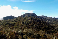 Menguak Keindahan Gunung Kemiri: Perjalanan Menantang Menuju Puncak 3.315 MDPL