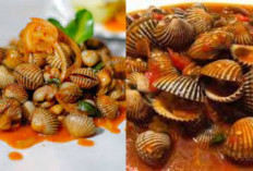 Simak! Pecinta Seafood Resep Kerang Pedas, Hidangan Laut Terbaru 2025