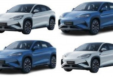 Review BYD Sealion 7 AWD 2026: SUV Listrik Premium dengan Performa Mengesankan Ditahun 2026!
