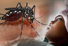 Cegah DBD, Kelurahan Tumbak Ulas Gencarkan Imbauan 3M Plus