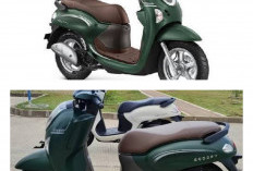 Update Harga Scoopy Cinnamoroll Limited Edition: Skutik Retro Paling Langka 2026, Jadi Rebutan Kolektor