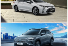 Keren! Di Negara Tetangga, Toyota Corolla Tampil Ekstrem Berubah Jadi Pickup Futuristik, Punya Desain Unik 