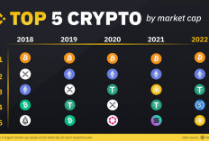 Ini Top 5 Alcoin Bitcoin Atau Kripto 2024, Ada Apa Aja Yah?