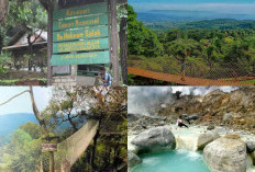 Spot-spot Menarik yang Bisa Dikunjungi di Taman Nasional Gunung Harimun Salak 