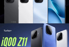 iQOO Z11 Meluncur Global, Kombinasi Performa Flagship dan Harga Ramah Kantong