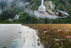 Menyusuri Keindahan Sulawesi Selatan, 7 Destinasi Wisata Alam yang Luar Biasa!