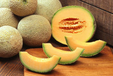 Yuk Catat, Ini dia Kaya Nutrisi Keajaiban Vitamin dan Mineral Dalam Buah Melon