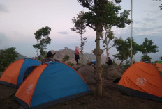 Liburan Seru di Wisata Pendopo Wahyu Kota Rembang, Ini Keunikan yang Memukau!