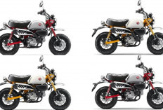 Harga Terbaru Honda Monkey Juli 2026 Resmi Diperbarui, Segini Biaya yang Harus Disiapkan Sebelum Membeli!