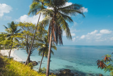 Memanjakan Mata dengan Pesona Alam Wisata Pantai Teluk Tamiang