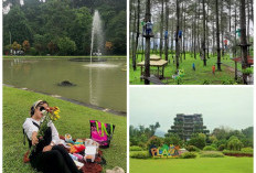 5 Rekomendasi Tempat Destinasi Wisata Ala-ala Piknik di Kota Bogor!!