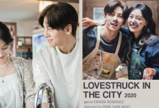 Drakor Lovestruck in the City, Chemistry Manis Ji Chang Wook dan Kim Ji Won