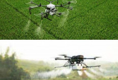 Sekarang Petani Gak Perlu Jalan Keliling Sawah, Drone Langsung Semprot Pupuk dari Udara!