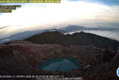 Aktivitas Vulkanik Menurun, Gunung Dempo Siap Sambut Pendaki Lagi