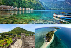 Kalian Lagi Cari Rekomendasi Wisata Instagramable? Berikut Ini dia 7 Daftar di Pulau Maluku Utara!