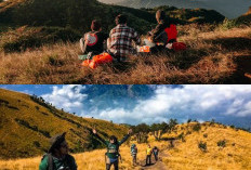 Gunung-Gunung Paling Banyak Dikunjungi di Indonesia, Panduan dan Tips Pendakian!