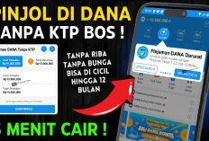 Cuma 5 Menit! Pinjam Rp25 Juta dari DANA Tanpa KTP dan Paylater, Begini Caranya!