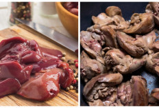 Manfaat Hati Ayam untuk Kesehatan yang Jarang Diketahui!