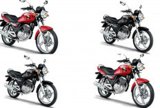Harga Terbaru Juli 2026 Suzuki Thunder, Masih Layak Dibeli Ini Daftar Harga dan Alasannya!