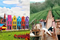 Menjelajahi Pesona Malang: Kota Sejuta Wisata yang Selalu Bikin Rindu