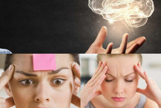 Mengatasi Hilang Ingatan, 5 Langkah Teruji untuk Memulihkan Kembali Kesehatan Otak Anda!