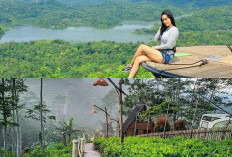 Menikmati Keindahan Alam dan Warisan Budaya: Rekomendasi 15 Destinasi Wisata di Kulon Progo, Yogyakarta