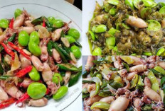 Resep Cumi Asin Cabe Ijo Bisa Tambah Pete biar Makin Sedap ,Bikin Nambah Selera Makan!