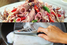 Pecinta Seafood Simak! Inilah 5 Tips Memasak Cumi Agar Tidak Alot dan Bau Amis Hilang