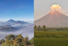 Fenomena Mistis di Gunung Semeru, Dari Ranu Kumbolo hingga Kawasan Kelik