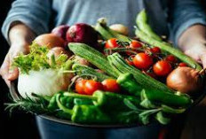 Yuk Cari Tahu! Ini 5 Manfaat Kesehatan Lalapan Sayur Segar Untuk Memperkuat Sistem Kekebalan Tubuh Anda