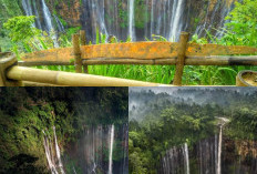 Temukan Curug Tersembunyi di Yogyakarta yang Tetap Mengalir di Kemarau!