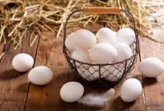Tahukah Kamu? Ini 5 Manfaat Telur Ayam Sumber Protein Tinggi Untuk Membangun dan Memperbaiki Sel