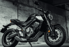 Honda Luncurkan CB Series Baru Kelas 300 Cc: Bertampang Streetfighter Macho & Bertenaga Gahar!